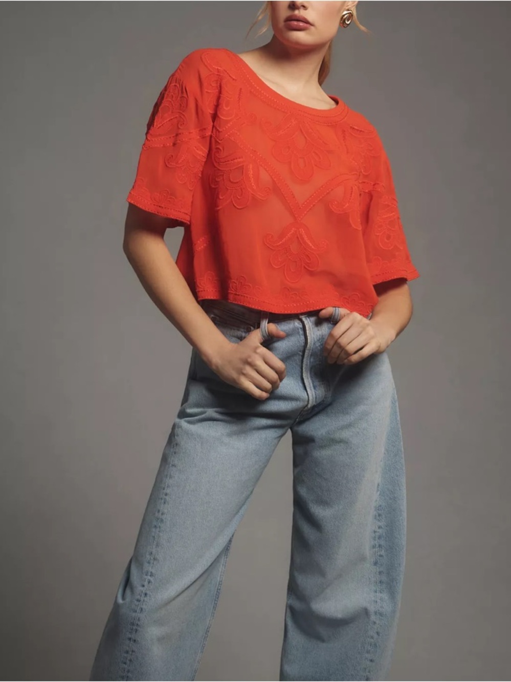 Anthropologie Sheer Embroidered Boxy Top embroidered red sheer blouse M
